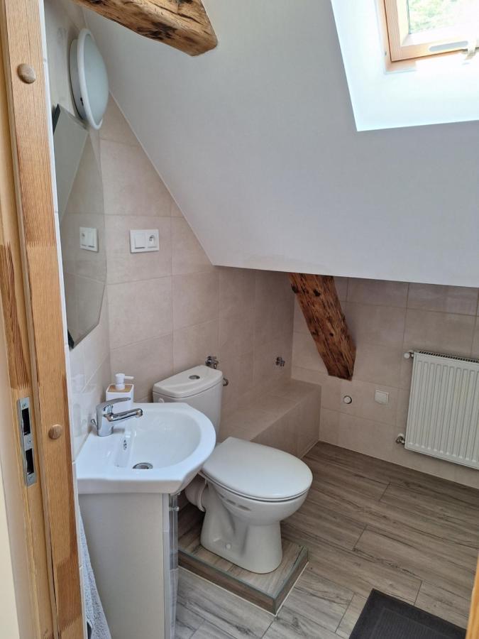 Villa Dom Caloroczny Jozefinka W Karkonoszach à Kowary Extérieur photo