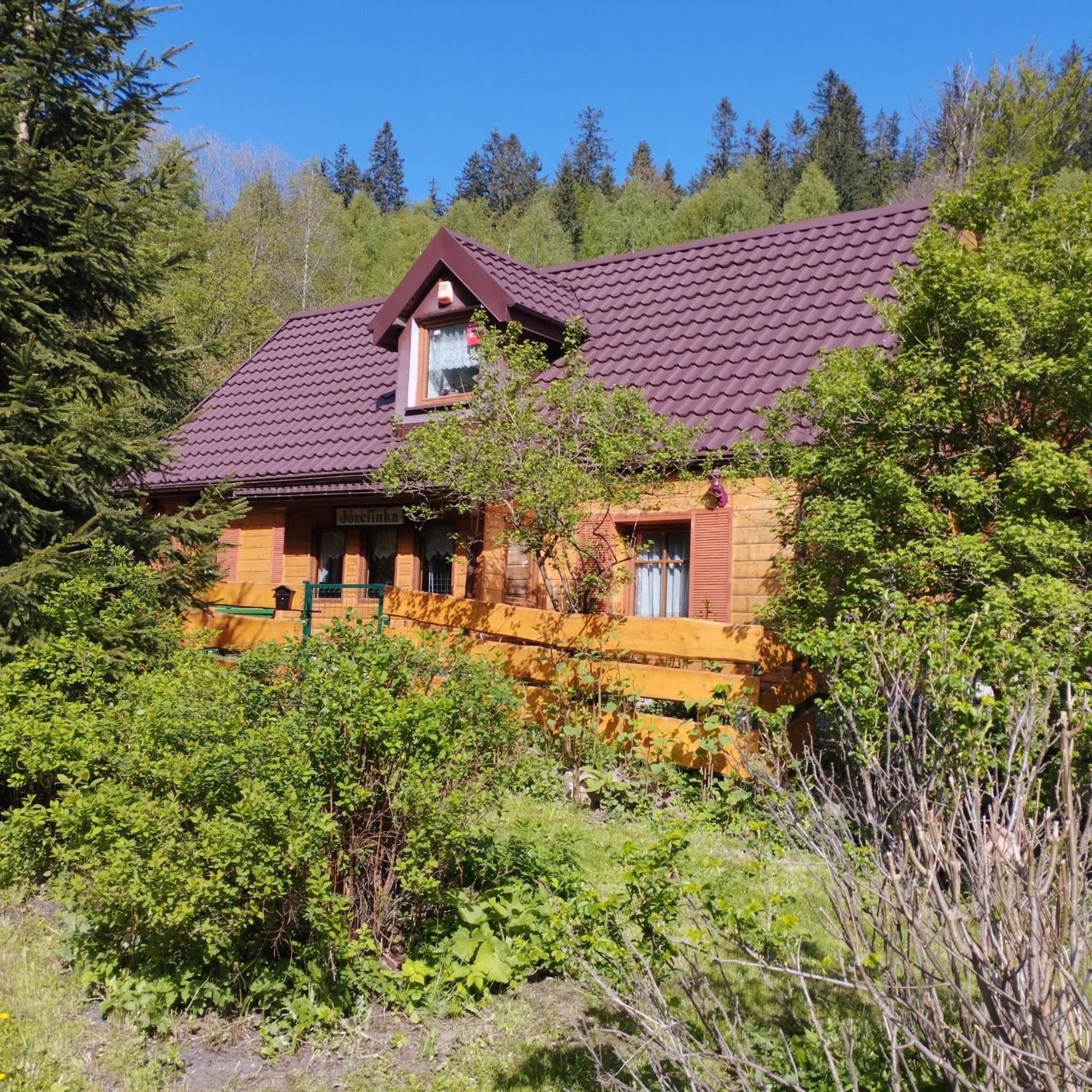 Villa Dom Caloroczny Jozefinka W Karkonoszach à Kowary Extérieur photo